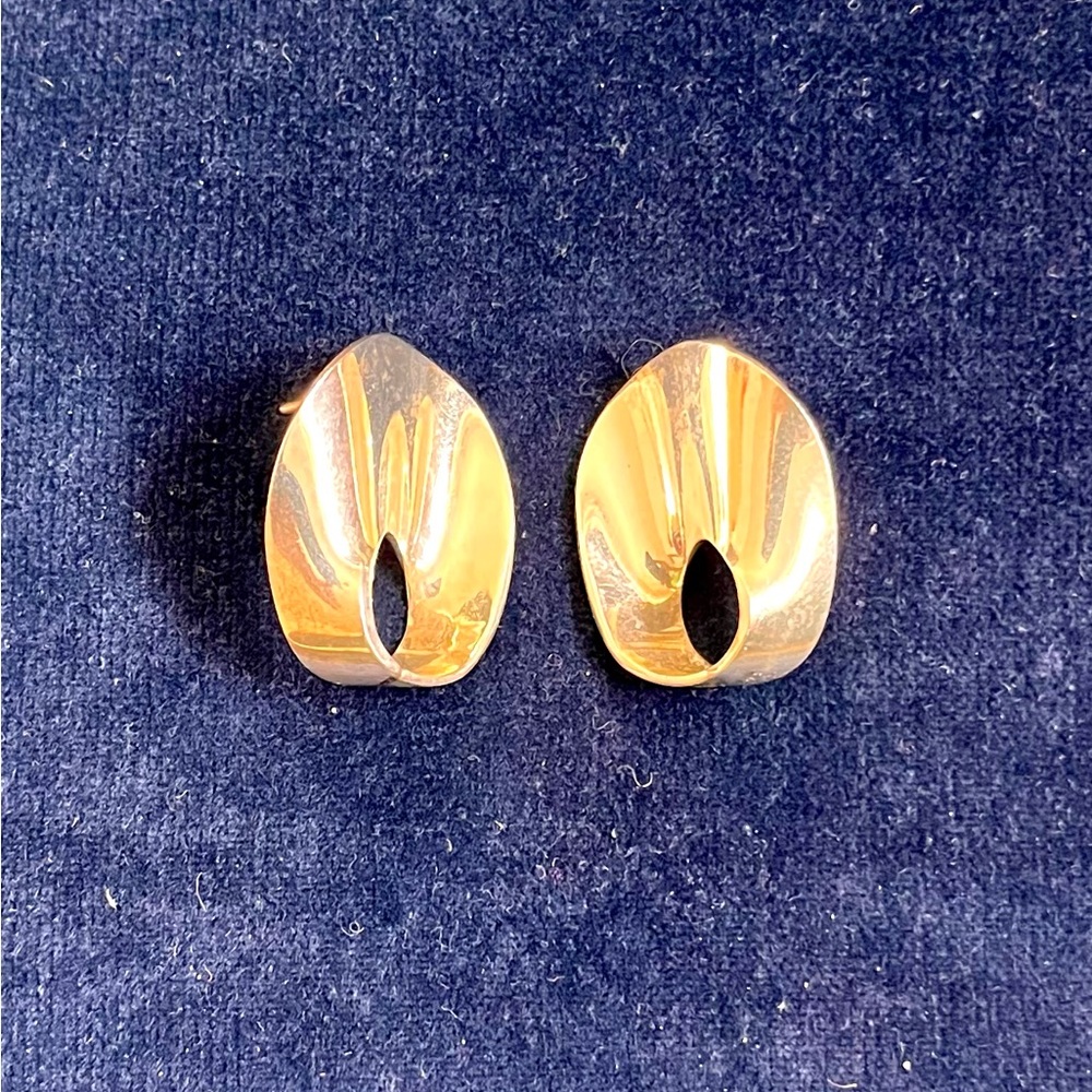 Elegant Sterling Silver Earrings